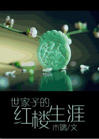 (BL/红楼同人)世家子的红楼生涯